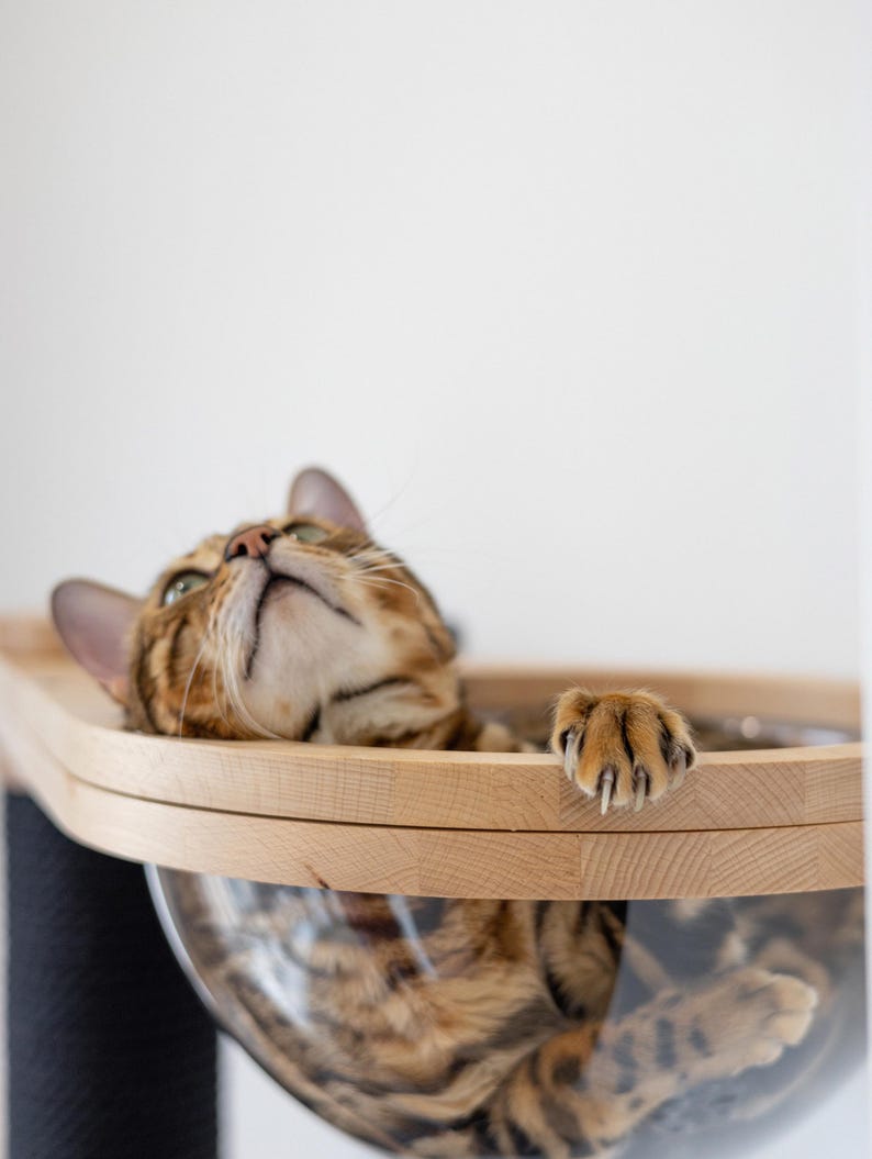 Arbre à chat mural en bois avec griffoir en sisal image 19