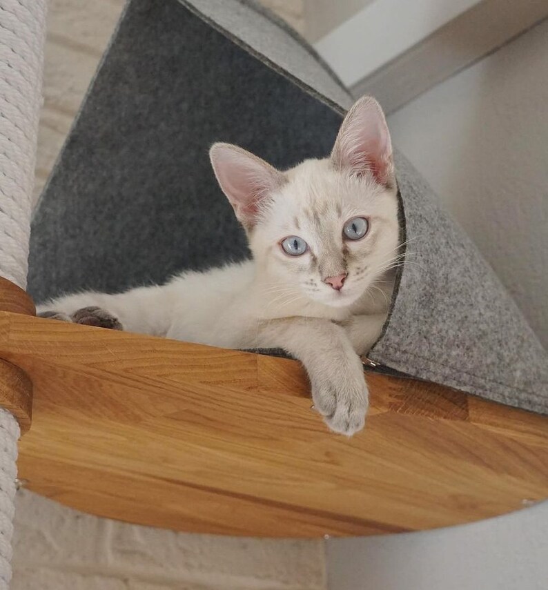 Floor to Ceiling Cat Tree Adjustable Height Cat Tree Cat Etsy