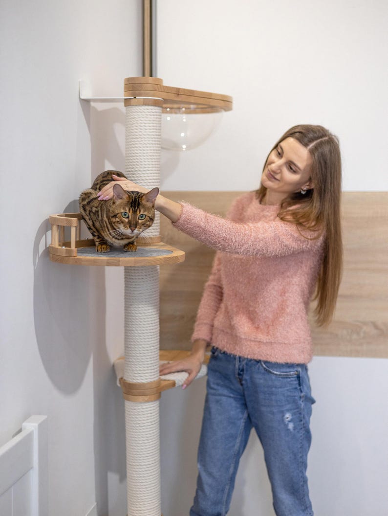 May include: A modern cat tree with multiple levels, a clear dome, and a scratching post. The cat tree is made of wood and rope, and a brown and black cat is sitting on one of the platforms. A person is petting the cat.