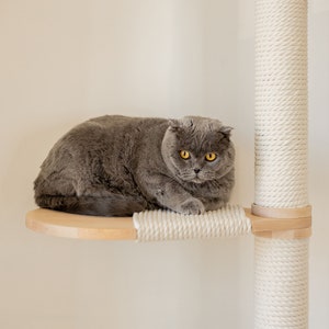 May include: A gray Scottish Fold cat with yellow eyes rests on a wooden cat shelf. The shelf is part of a cat tree with a sisal-wrapped post and a light-colored wood frame. The cat is centered in the image.
