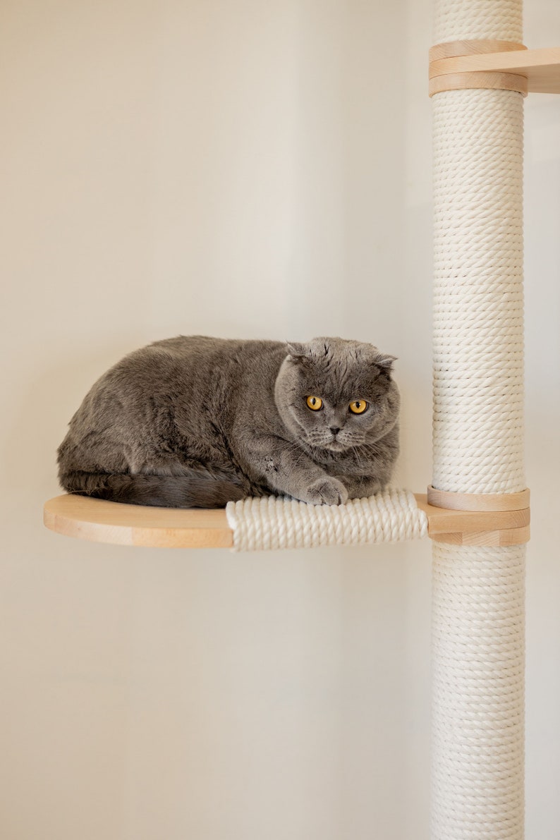 May include: A gray Scottish Fold cat with yellow eyes rests on a wooden cat shelf. The shelf is part of a cat tree with a sisal-wrapped post and a light-colored wood frame. The cat is centered in the image.