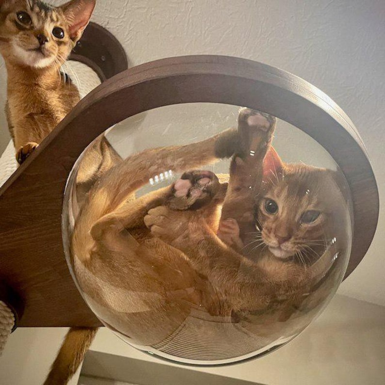 Cat adjustable tower Floor to ceiling cat tower Wood cat tree Cat climbing tree Cat tower Cat scratch Scratching post Cat playground image 5