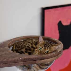 May include: A brown wooden cat bed with a clear plastic dome. A brown tabby cat with green eyes is resting inside the dome.