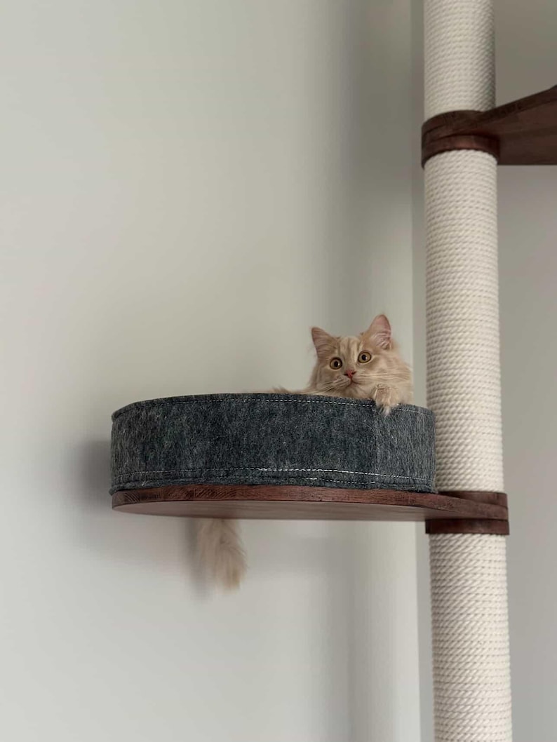 Op de afbeelding: Een pluizige, lichtoranje kat ligt in een grijs vilten bed op een houten plank van een kattenboom. De kattenboom heeft een witte, met touw omwikkelde paal en extra houten planken. De staart van de kat hangt naar beneden en hij kijkt recht in de camera.
