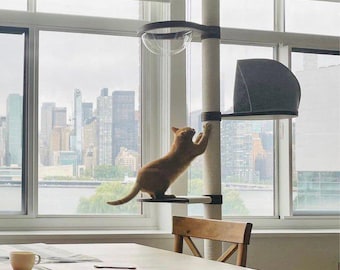 Cat Climbing Ikea Frosta Cat Tree Floor To Ceiling Cat Tree, Wood