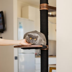 Op de afbeelding: Een grijze Scottish Fold kat met gele ogen rust op een houten platform van een krabpaal. De krabpaal heeft een zwarte, met touw omwikkelde paal met houten accenten. Een hand raakt zachtjes de kat aan.