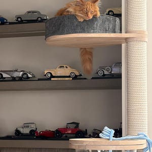 Op de afbeelding: Een oranje kat rust op een grijs kattenboomplatform. De kattenboom is bevestigd aan een verticale paal omwikkeld met touw. Miniatuur vintage auto's worden op planken eronder tentoongesteld.