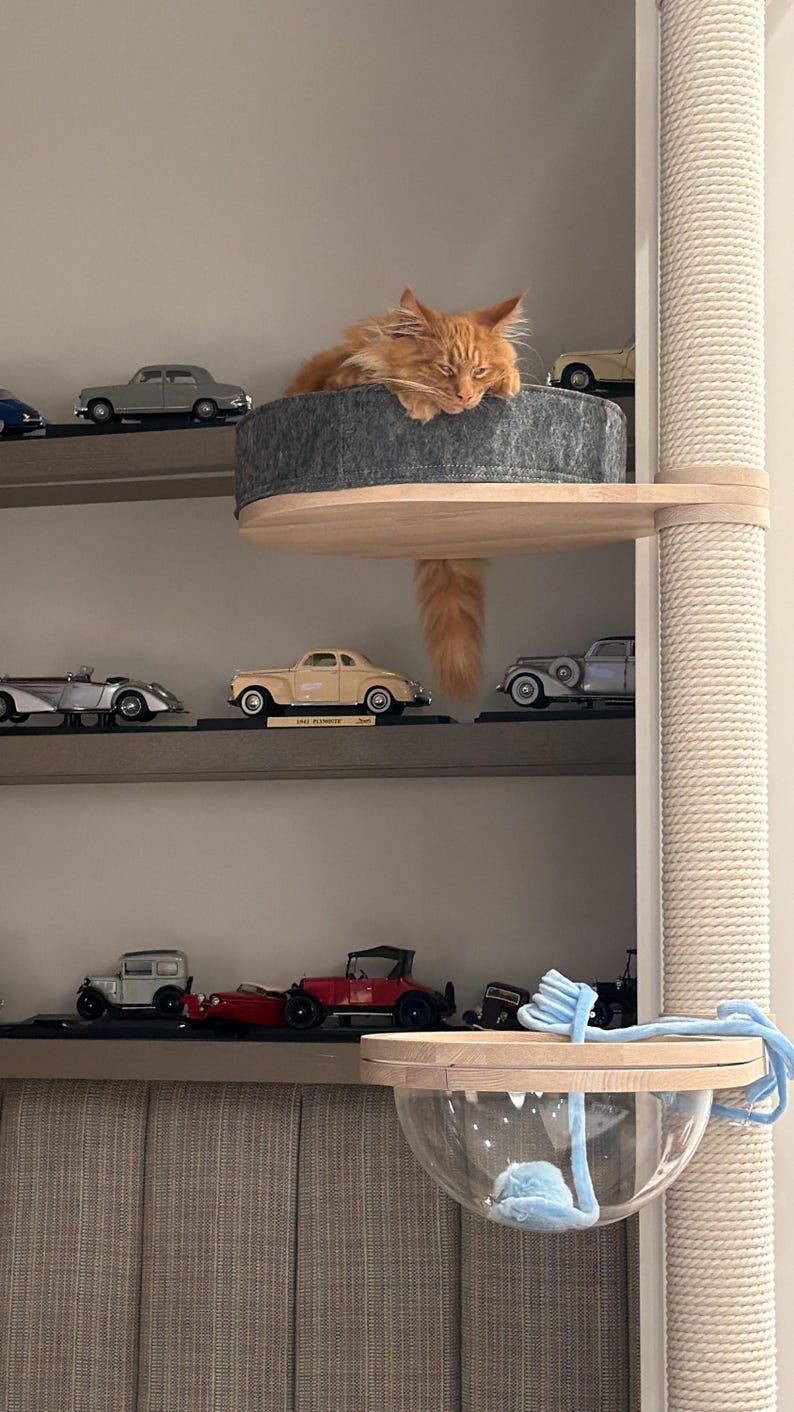 Op de afbeelding: Een oranje kat rust op een grijs kattenboomplatform. De kattenboom is bevestigd aan een verticale paal omwikkeld met touw. Miniatuur vintage auto's worden op planken eronder tentoongesteld.