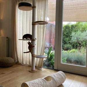 Op de afbeelding: Een kattenboom met meerdere niveaus met een krabpaal, platforms en een doorzichtig bubbelbed. Een kat klimt in de boom. Een beige kattentunnel ligt op de vloer. De kattenboom is gemaakt van hout en touw.
