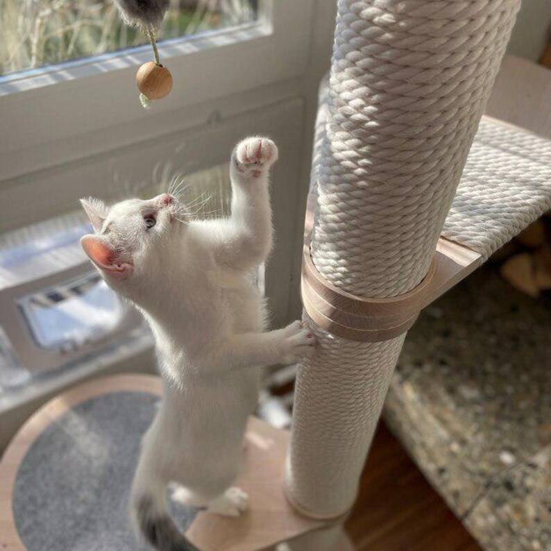 Peut inclure: Un petit chaton blanc avec une queue &agrave; bout gris se tient sur ses pattes arri&egrave;re, tendant la patte pour jouer avec un jouet suspendu dot&eacute; d'une perle en bois. Le chaton est plac&eacute; pr&egrave;s d'un griffoir cylindrique recouvert de corde blanche.