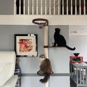 May include: A cat tree with a sisal scratching post, wooden platforms, and a clear bubble perch. A black cat sits on a platform, and a fluffy cat sits on a round perch. A framed artwork with butterflies hangs on the wall.
