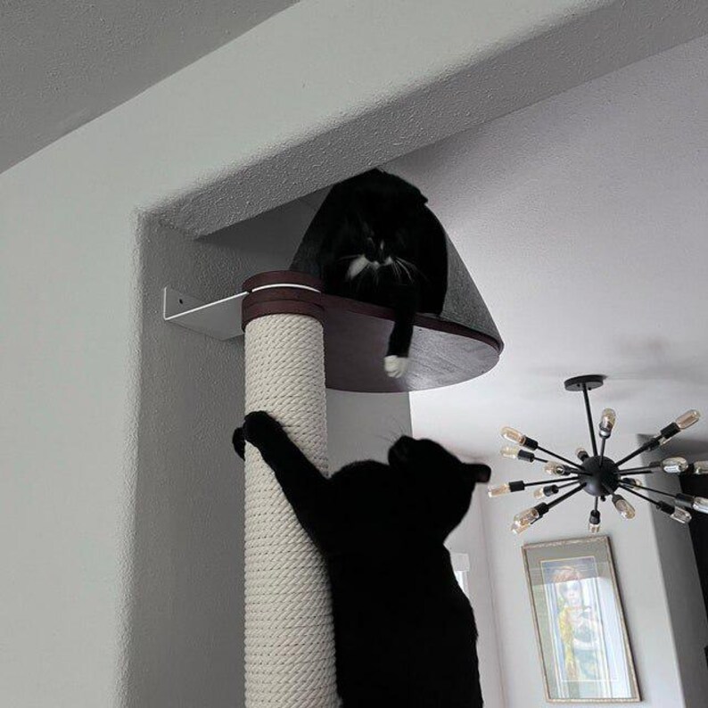 May include: A wall-mounted cat perch featuring a circular dark wood platform and a vertical scratching post wrapped in thick off-white sisal rope. The structure is secured to the wall with a white metal bracket, providing a high elevated space.