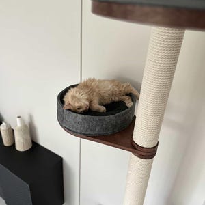 Op de afbeelding: Een beige katje rust in een grijs vilten bed op een houten krabpaal. De boom heeft een met sisal omwikkelde paal en een donkerbruine basis. De krabpaal staat tegen een witte muur.
