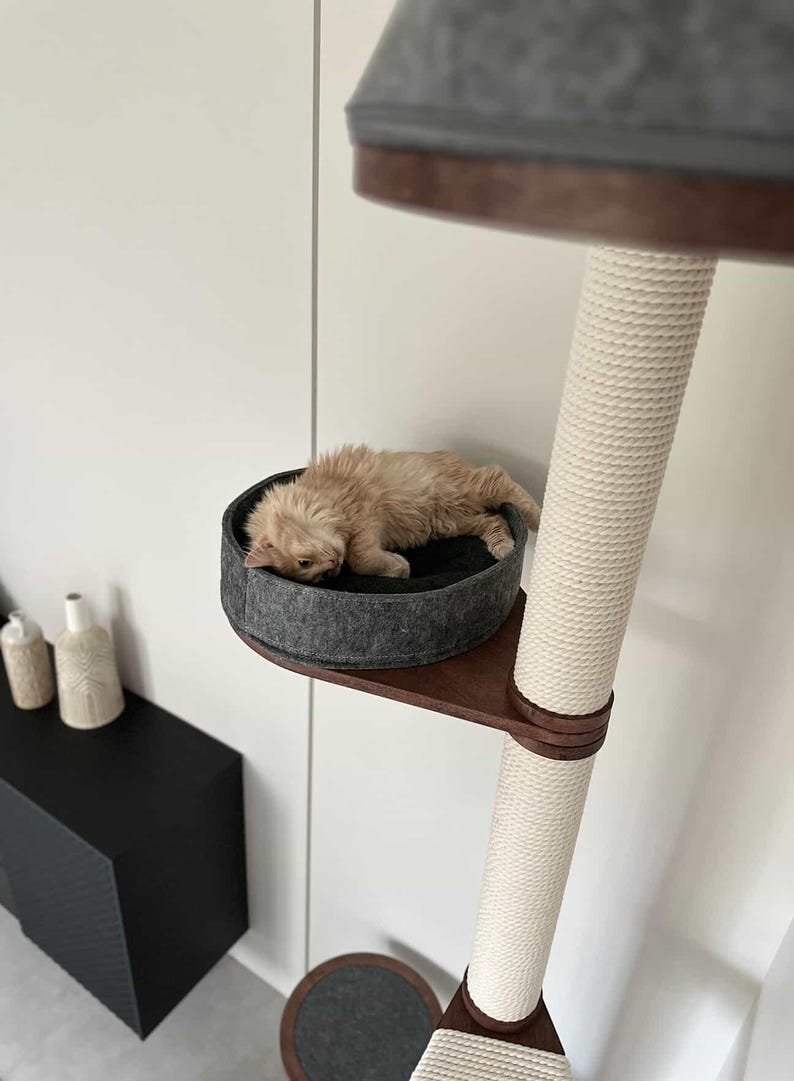 Op de afbeelding: Een beige katje rust in een grijs vilten bed op een houten krabpaal. De boom heeft een met sisal omwikkelde paal en een donkerbruine basis. De krabpaal staat tegen een witte muur.