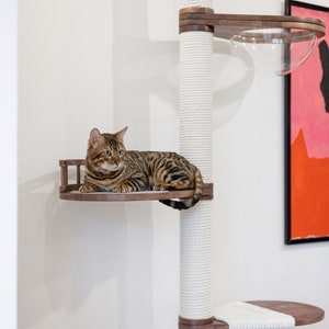 May include: A white cat tree with a brown cat sitting on a platform. The cat tree has a white rope covering the post and a brown wooden platform. The cat is looking to the left of the image.