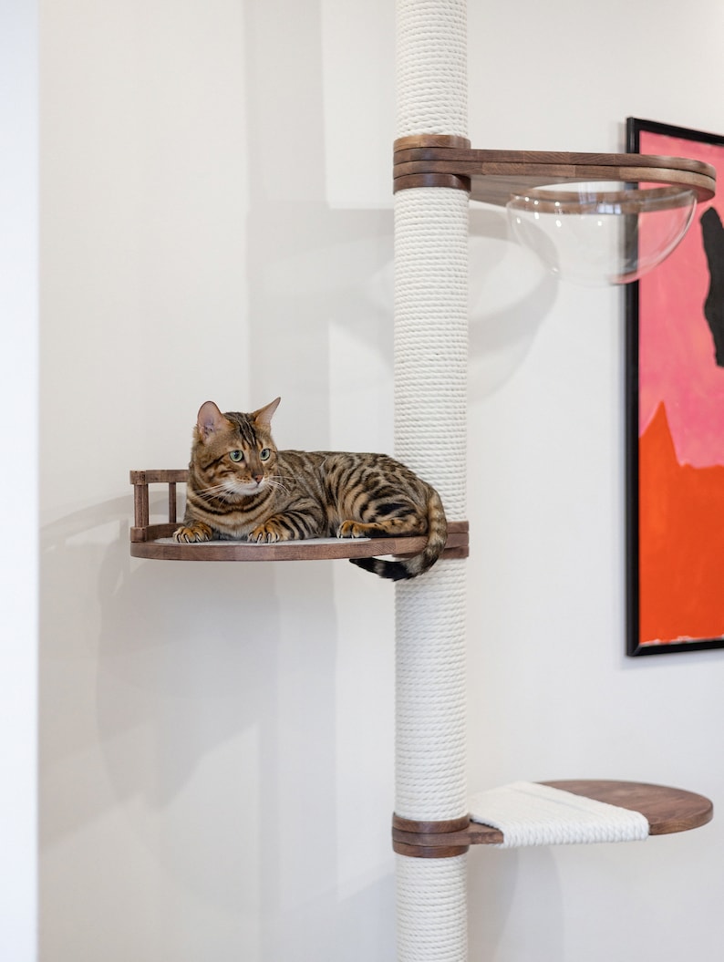 Cat adjustable tower Floor to ceiling cat tower Wood cat tree Cat climbing tree Cat tower Cat scratch Scratching post Cat playground image 2