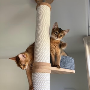 Op de afbeelding: Twee oranje katten op een krabpaal. De paal is omwikkeld met wit touw met houten accenten en een klein platform met een blauw kussen. E&eacute;n kat hangt aan de paal, de andere zit op het platform.