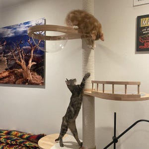 Adjustable Beechwood Cat Tower: Floor-to-Ceiling Cat Tree with Platforms