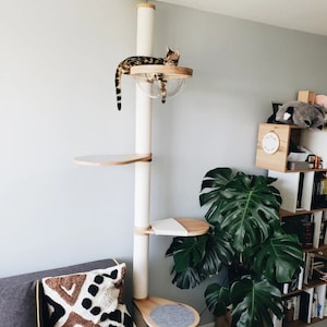 May include: A white cat tree with a white scratching post and multiple platforms. The cat tree has a clear plastic dome on the top platform. A cat is lying on the top platform inside the dome. The cat tree is in a room with a sofa, a plant, and a bookcase.