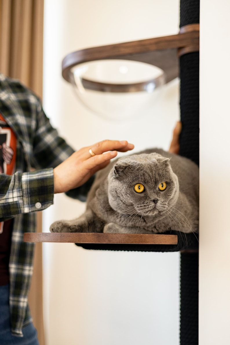 May include: A wall-mounted cat tree featuring a dark wood circular platform and a black sisal-wrapped vertical post. Above the platform, a clear acrylic dome is set within a dark wood frame, providing a resting space for a gray cat.