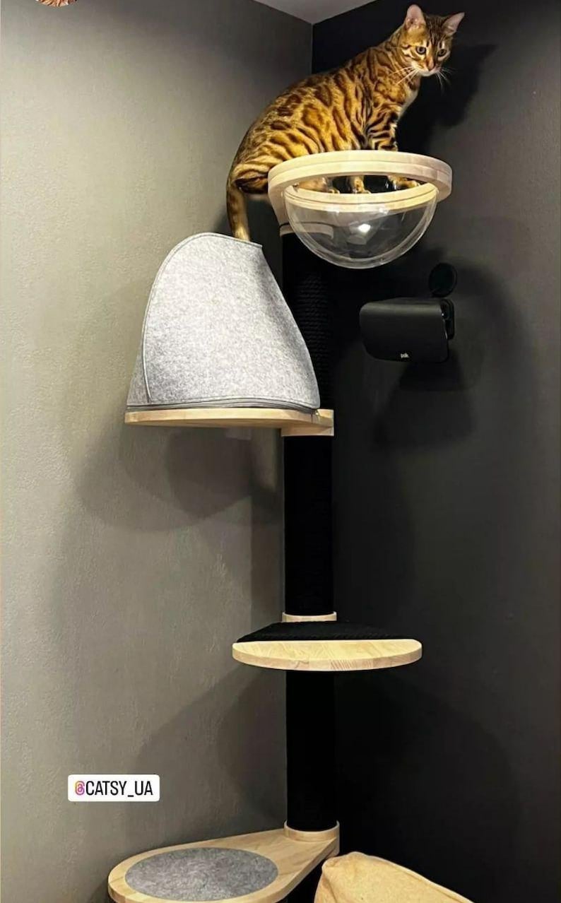 May include: A multi-level cat tree featuring a central black post, light wood platforms, a gray felt-covered hideaway, and a clear acrylic dome bed. A brown tabby cat sits on the top platform. The text CATSY_UA is visible in the corner.