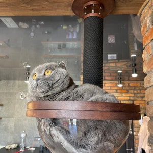 May include: A grey cat with yellow eyes sits in a clear glass sphere on a wooden platform. The sphere is attached to a black post with a brown wooden top.