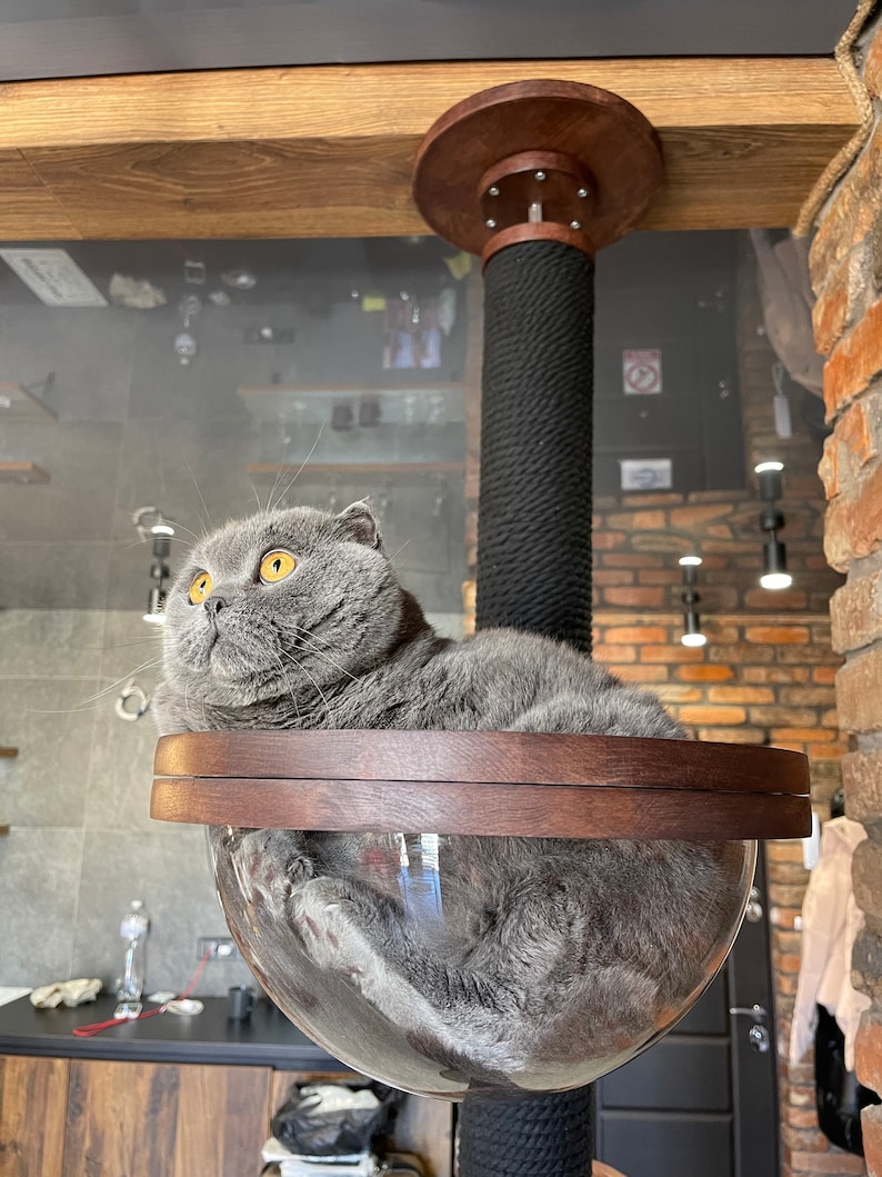 May include: A grey cat with yellow eyes sits in a clear glass sphere on a wooden platform. The sphere is attached to a black post with a brown wooden top.
