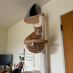 Arbre à chat mural en bois avec griffoir en sisal image 2