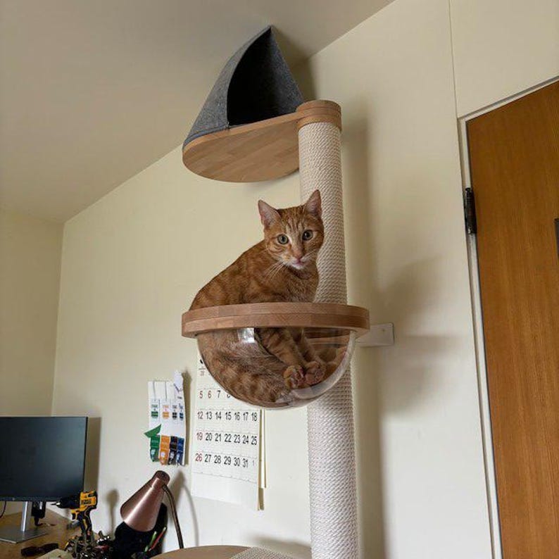 Arbre à chat mural en bois avec griffoir en sisal image 2