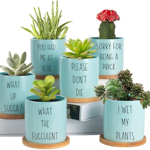14 fichiers Humour végétal, J'ai mouillé mes plantes, Plantes succulentes, SVG, Téléchargement instantané, Citations de plantes en pot Cactus Garden, Être une piqûre