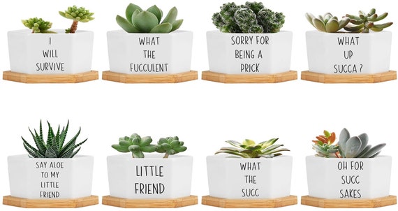 14 Files Plant Humor, I Wet My Plants, Succulent Plants, SVG, Instant  Download, Potted Plant Quotes Cactus Garden, Being a Prick - Etsy Canada