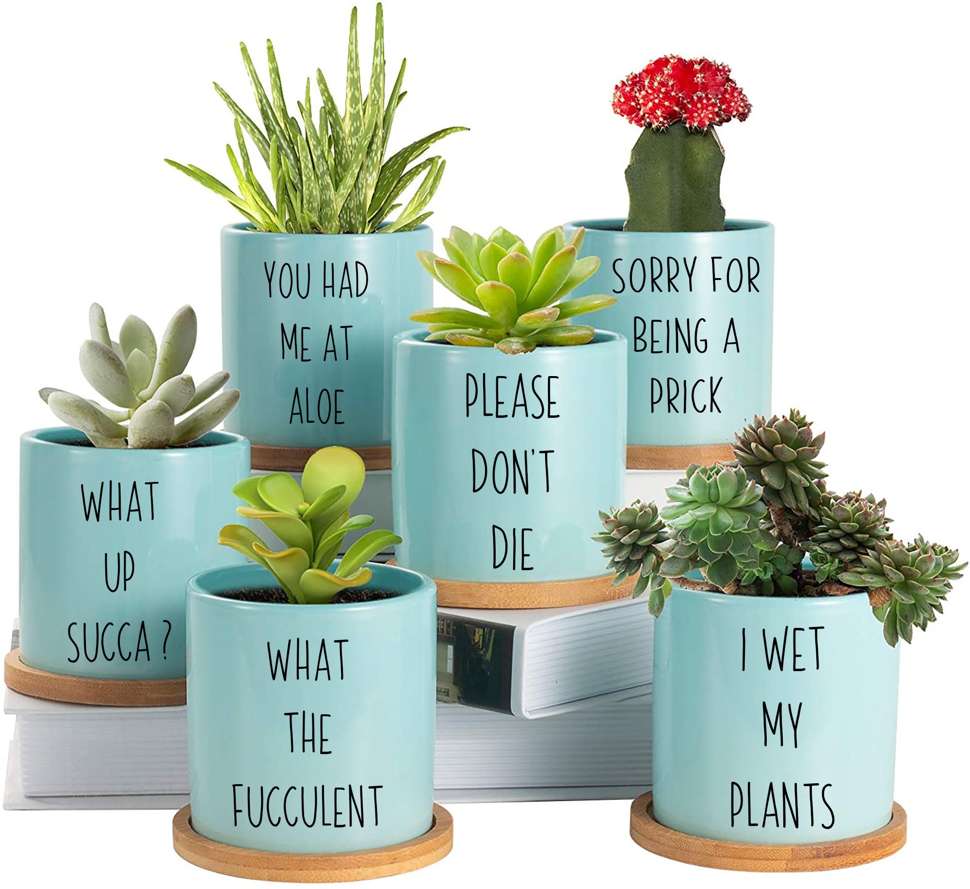 14 Files Plant Humor I Wet My Plants Succulent Plants SVG - Etsy