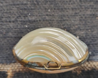 antique Victorian shell purse