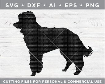 Miniature Poodle SVG, Min Poodle Silhouette SVG - Cutting files for Silhouette & Cricut, svg - dxf  ai  eps  png / n-033