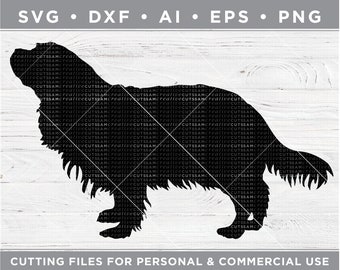 Cavalier King Charles Spaniel SVG,  Chihuahua Silhouette SVG - Cutting files for Silhouette & Cricut, svg - dxf  ai  eps  png / n-019