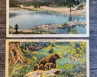 Vintage National Park Postcards, Rainier Park and Rocky Mountain National Park