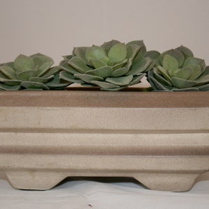 May include: A light brown ceramic planter with three green succulent plants. The planter has a rectangular shape with a layered design.