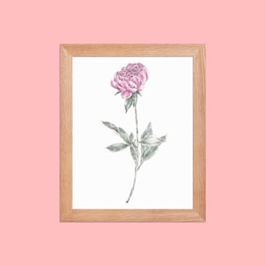 Framed Art in Frame | Art Prints | Botanical Illustration | Flower Art | Framed Artwork | Framed Botanical Wall Art