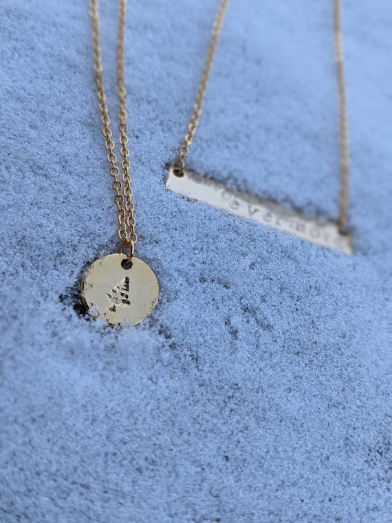 Pura vida coin necklace best sale