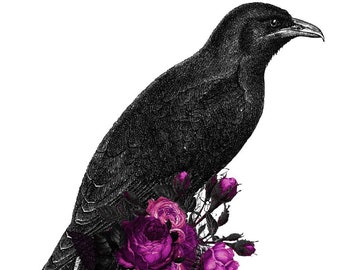 Game Of Thrones Nail Art Crows Before Hoes Nail Water Decals