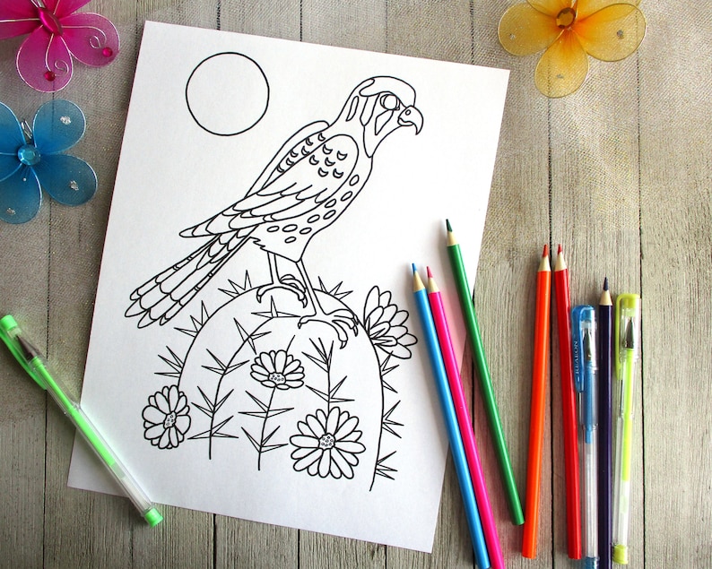 6600 Top Hawk Bird Coloring Pages , Free HD Download 6600 Top Hawk Bird Coloring Pages , Free HD Download