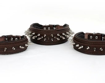 Spiky Genuine Leather Padded Dog Collar 1.5&#39; (4cm) S/M/L