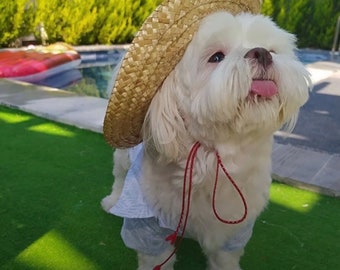 Accessoireset zonnehoed hond kat S/M/L 3 maten