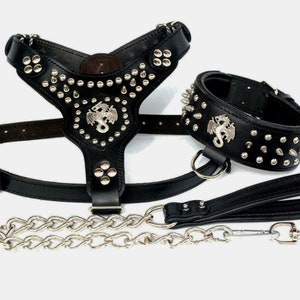 Dragon Spiky Genuine Buffalo Leather Padded Dog Harness Leash Collar set S/M/L/XL