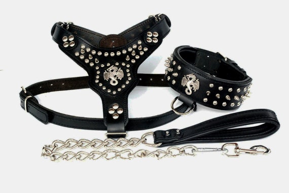 Dragon Halsband Hundegeschirr Set S/M/L/XL - Etsy.de