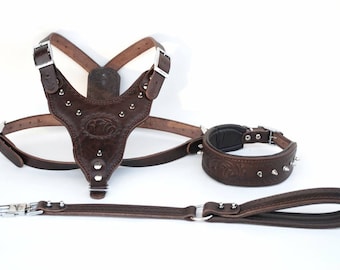 Brown Genuine Buffalo Leather Padded Dog Harness Leash Collar set S/M/L/XL