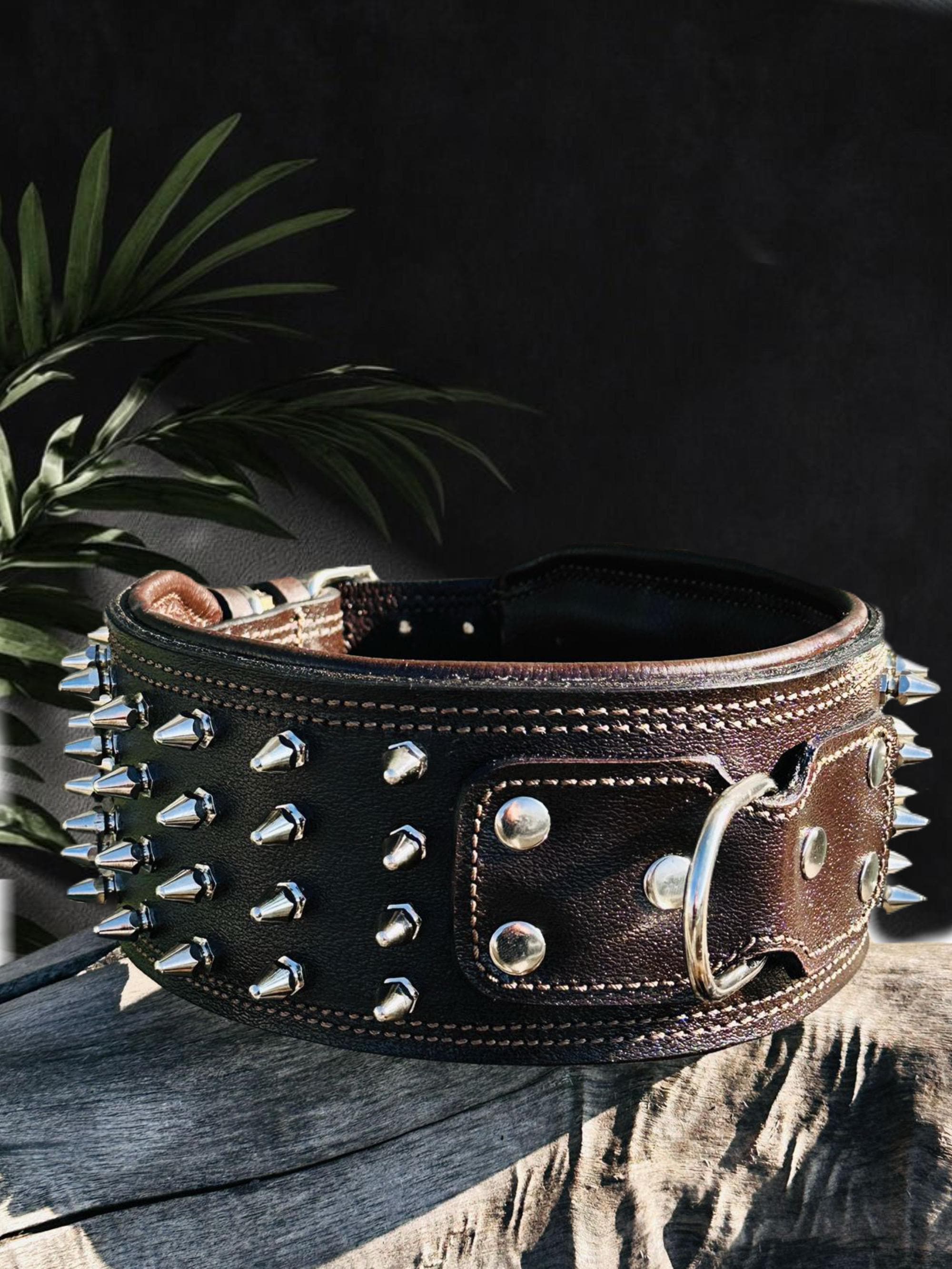Leder-Hundehalsband Mit Nieten – Gepolstert, Verstellbar (20–27 Cm) & Wetterfest – Für Große & Kleine Hunde