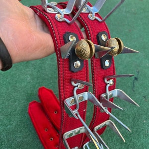 May include: Two red dog collars with metal spikes and bells. The collars are made of a thick, red fabric and have a metal buckle.