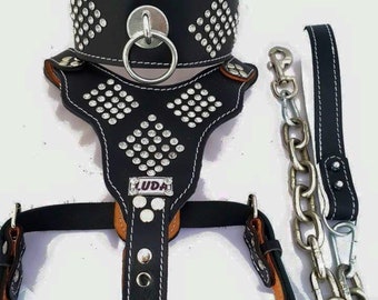 Black Genuine Buffalo Leather Padded Dog Harness Leash Collar set S/M/L/XL