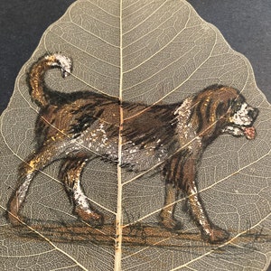 Mi perro pintado a mano en una hoja de árbol real.                                    Hoja54bernard
